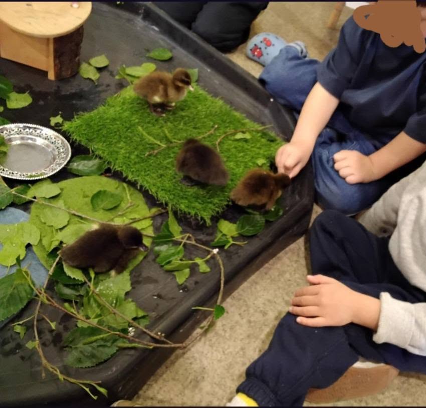 Children exploring at Tiny Toez Tipton and Tividale