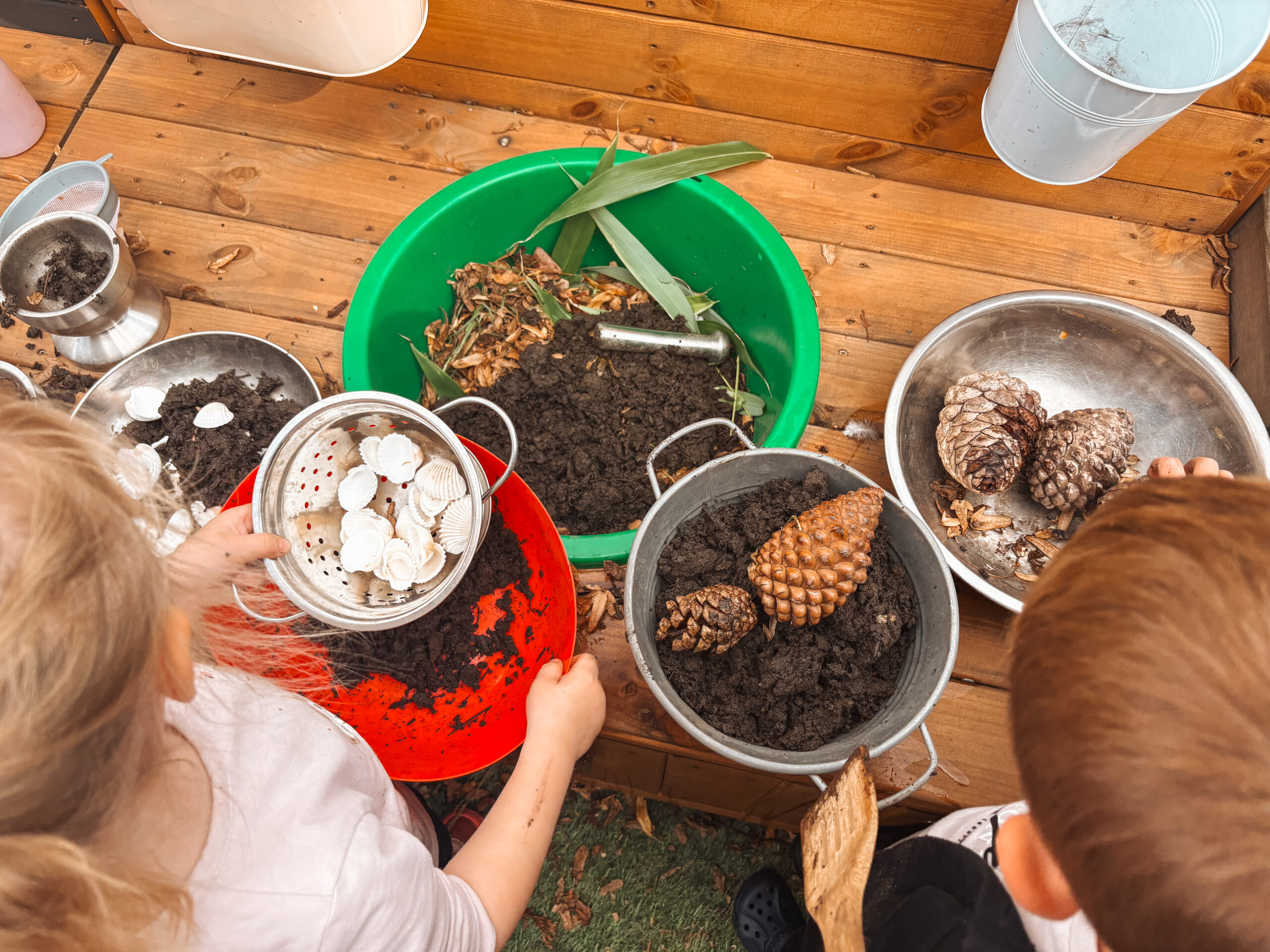 Tamworth nursery garden